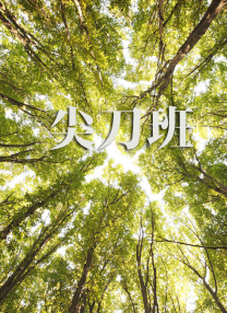 爱，还是不爱